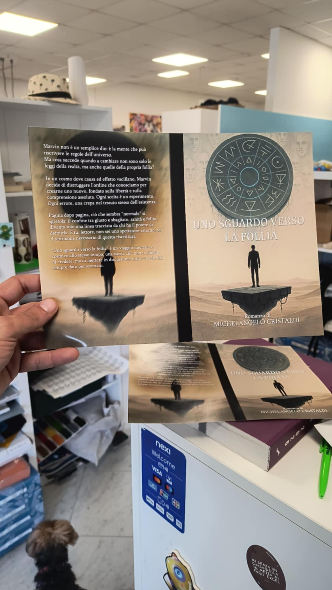 Uno Sguardo Verso la Follia